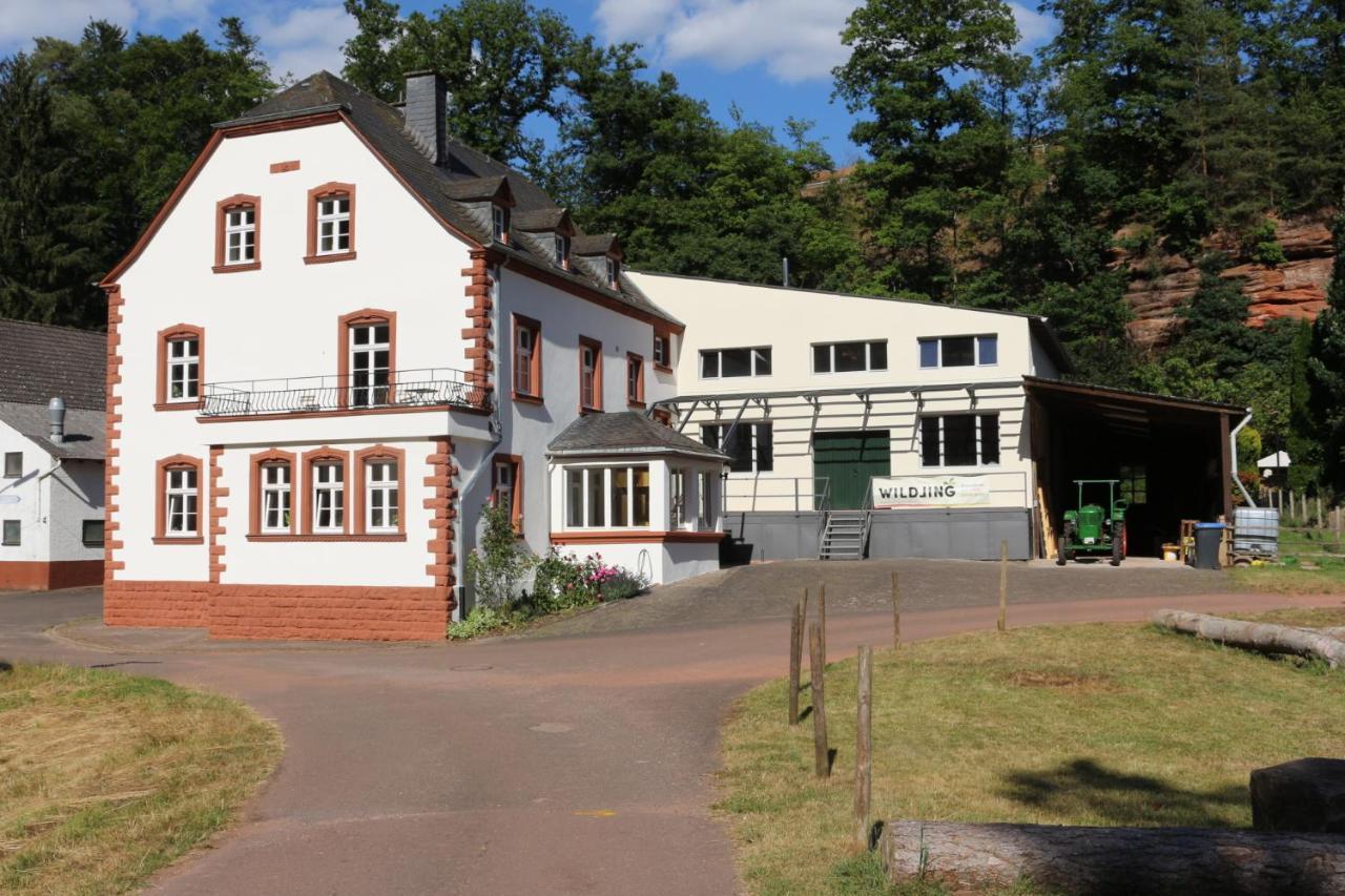 Gaestehaus Herrenmuehle Freudenburg  Exteriér fotografie